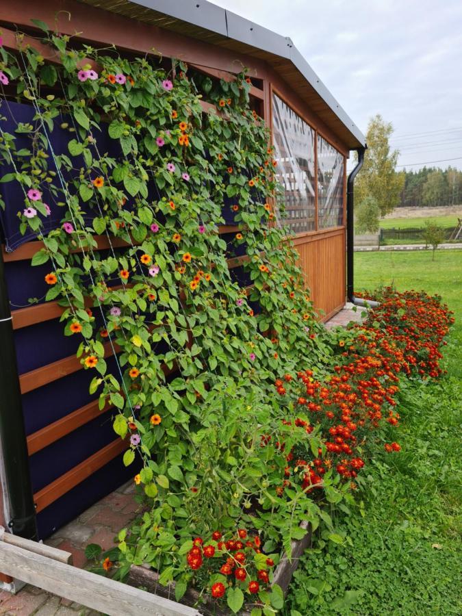 Holiday home Rodzinny Na Kaszubach Brusy